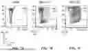 Fig. 08 - METHODS AND COMPOSITIONS FOR STEM CELL DIFFERENTIATION