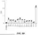 Fig. 11 - METHODS AND COMPOSITIONS FOR STEM CELL DIFFERENTIATION
