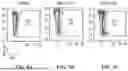 Fig. 12 - METHODS AND COMPOSITIONS FOR STEM CELL DIFFERENTIATION