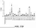 Fig. 17 - METHODS AND COMPOSITIONS FOR STEM CELL DIFFERENTIATION