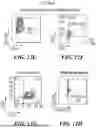 Fig. 19 - METHODS AND COMPOSITIONS FOR STEM CELL DIFFERENTIATION