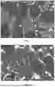 Fig. 08 - CREEPAGE STAGE DETERMINATION SYSTEMS AND METHODS FOR ALUMINUM-CONTAINING HEAT-RESISTANT ALLOY FURNACE TUBES
