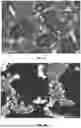 Fig. 09 - CREEPAGE STAGE DETERMINATION SYSTEMS AND METHODS FOR ALUMINUM-CONTAINING HEAT-RESISTANT ALLOY FURNACE TUBES