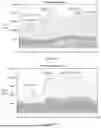 Fig. 03 - A COORDINATION METHOD OF ELECTRICITY SUPPLY AND RECIPIENT MARKET DAY-AHEAD SPOT CLEARING CONSIDERING HYDROPOWER ABSORPTION