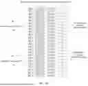 Fig. 06 - COMMUNICATION METHOD AND COMMUNICATION APPARATUS