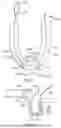 Fig. 15 - SUTURE LOCKING DEVICES FOR PERFORMING TENSIONABLE KNOTLESS SURGICAL PROCEDURES