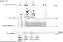 Fig. 13 - TRANSMISSION TERMINAL, MEASUREMENT SYSTEM, AND CONTROL METHOD