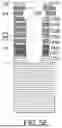 Fig. 09 - METHOD OF SELECTIVE BOTTOM WIDENING OF HIGH ASPECT RATIO OPENINGS THROUGH A MULTI-LAYER STACK