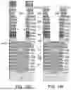 Fig. 28 - METHOD OF SELECTIVE BOTTOM WIDENING OF HIGH ASPECT RATIO OPENINGS THROUGH A MULTI-LAYER STACK