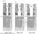 Fig. 30 - METHOD OF SELECTIVE BOTTOM WIDENING OF HIGH ASPECT RATIO OPENINGS THROUGH A MULTI-LAYER STACK