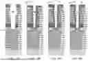 Fig. 31 - METHOD OF SELECTIVE BOTTOM WIDENING OF HIGH ASPECT RATIO OPENINGS THROUGH A MULTI-LAYER STACK