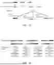 Fig. 03 - COMBINATORIAL ENUMERATION AND SEARCH FOR NUCLEIC ACID-BASED DATA STORAGE