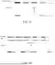 Fig. 04 - COMBINATORIAL ENUMERATION AND SEARCH FOR NUCLEIC ACID-BASED DATA STORAGE