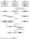 Fig. 08 - COMBINATORIAL ENUMERATION AND SEARCH FOR NUCLEIC ACID-BASED DATA STORAGE