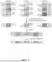 Fig. 09 - COMBINATORIAL ENUMERATION AND SEARCH FOR NUCLEIC ACID-BASED DATA STORAGE