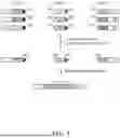 Fig. 10 - COMBINATORIAL ENUMERATION AND SEARCH FOR NUCLEIC ACID-BASED DATA STORAGE