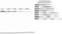 Fig. 22 - COMBINATORIAL ENUMERATION AND SEARCH FOR NUCLEIC ACID-BASED DATA STORAGE