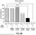 Fig. 07 - RECOMBINANT THERAPEUTIC FMR1 CONSTRUCTS AND METHODS OF TREATING FRAGILE X SYNDROME AND RELATED DISORDERS