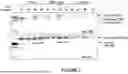 Fig. 09 - RECOMBINANT THERAPEUTIC FMR1 CONSTRUCTS AND METHODS OF TREATING FRAGILE X SYNDROME AND RELATED DISORDERS