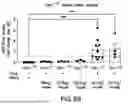 Fig. 11 - RECOMBINANT THERAPEUTIC FMR1 CONSTRUCTS AND METHODS OF TREATING FRAGILE X SYNDROME AND RELATED DISORDERS