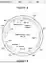 Fig. 18 - RECOMBINANT THERAPEUTIC FMR1 CONSTRUCTS AND METHODS OF TREATING FRAGILE X SYNDROME AND RELATED DISORDERS