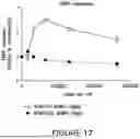 Fig. 22 - RECOMBINANT THERAPEUTIC FMR1 CONSTRUCTS AND METHODS OF TREATING FRAGILE X SYNDROME AND RELATED DISORDERS