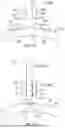 Fig. 12 - COMPOSITE STRUCTURE FOR A TURBINE ENGINE
