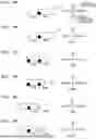 Fig. 10 - IMAGE FORMING SYSTEM AND HEAD MOVING METHOD