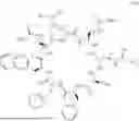 Fig. 167 - CYCLIC CELL PENETRATING PEPTIDES