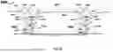 Fig. 08 - LIGHTING SYSTEM FOR ILLUMINATING A TARGET SURFACE IN AN AGRICULTURAL ENVIRONMENT