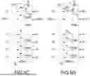 Fig. 10 - ELECTROPHORESIS DISPLAY