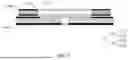 Fig. 06 - BATTERY CELL, BATTERY, AND ELECTRICAL DEVICE