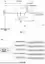 Fig. 13 - METHOD AND APPARATUS FOR ECAP-BASED DYNAMIC STIMULATION PROGRAMMING