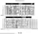Fig. 07 - CANNABINOID RECEPTOR TYPE 1 (CB1) BINDING PROTEINS AND USES THEREOF
