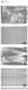 Fig. 17 - COMPOSITE SUBSTRATE AND METHOD FOR MANUFACTURING SAME