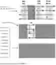 Fig. 03 - METHOD FOR MAKING 8-TRANSISTOR 2-PORT STATIC RANDOM ACCESS MEMORY