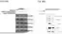 Fig. 585 - HUMAN THERAPEUTIC AGENTS