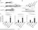 Fig. 02 - COMPOSITIONS AND METHODS FOR EPIGENOME EDITING