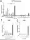 Fig. 11 - COMPOSITIONS AND METHODS FOR EPIGENOME EDITING