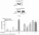 Fig. 14 - COMPOSITIONS AND METHODS FOR EPIGENOME EDITING