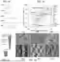 Fig. 05 - HIGH-PERFORMANCE MONO-MATERIAL HYBRID YARNS AND TEXTILES