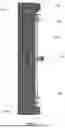 Fig. 02 - LOCKING MECHANISM