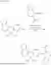 Fig. 295 - NOVEL COMPOUND, CONJUGATED POLYMER AND METHOD FOR PRODUCING SAME, FILM FORMATION COMPOSITION, ORGANIC THIN FILM AND ORGANIC SEMICONDUCTOR ELEMENT