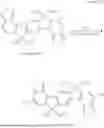 Fig. 306 - NOVEL COMPOUND, CONJUGATED POLYMER AND METHOD FOR PRODUCING SAME, FILM FORMATION COMPOSITION, ORGANIC THIN FILM AND ORGANIC SEMICONDUCTOR ELEMENT