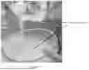Fig. 03 - LOW SUGAR, HIGH PROTEIN CONFECTION