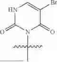 Fig. 366 - OLIGONUCLEOTIDE COMPOSITIONS AND METHODS RELATING THERETO