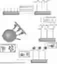 Fig. 01 - Methods and Systems for Modulating Cellular Activation