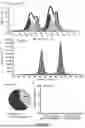 Fig. 03 - Methods and Systems for Modulating Cellular Activation