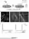 Fig. 07 - Methods and Systems for Modulating Cellular Activation