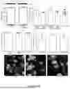 Fig. 09 - Methods and Systems for Modulating Cellular Activation